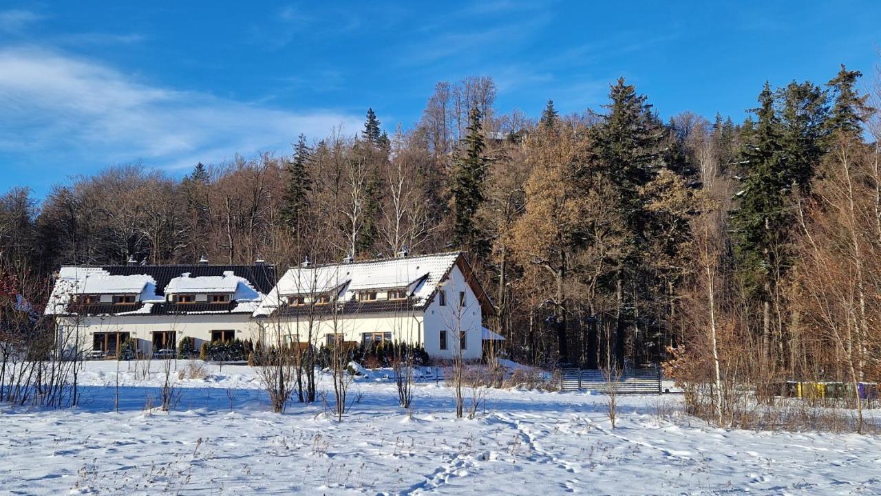 Widokowo - Domki Z Widokiem Na Sniezke Z Jacuzzi I Sauna Karpacz Extérieur photo