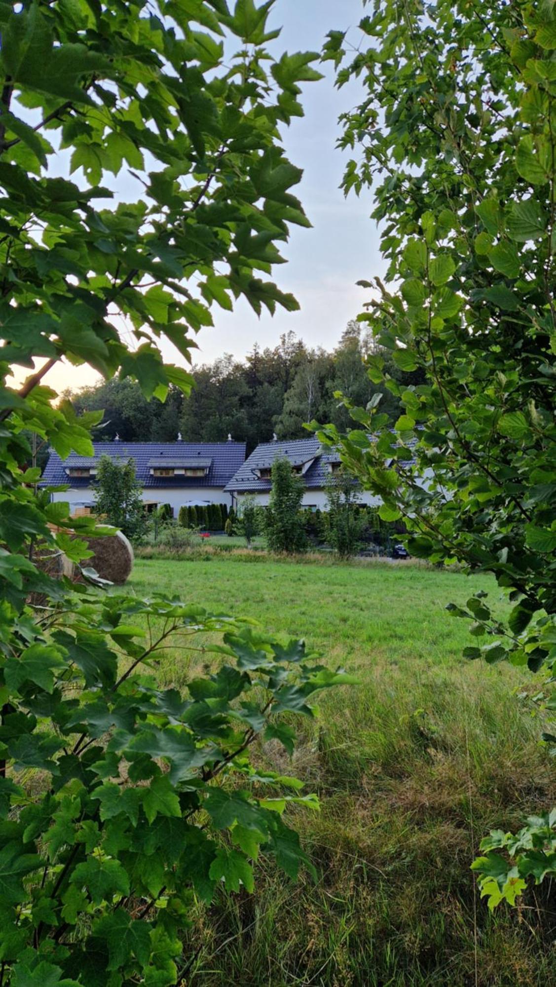Widokowo - Domki Z Widokiem Na Sniezke Z Jacuzzi I Sauna Karpacz Extérieur photo