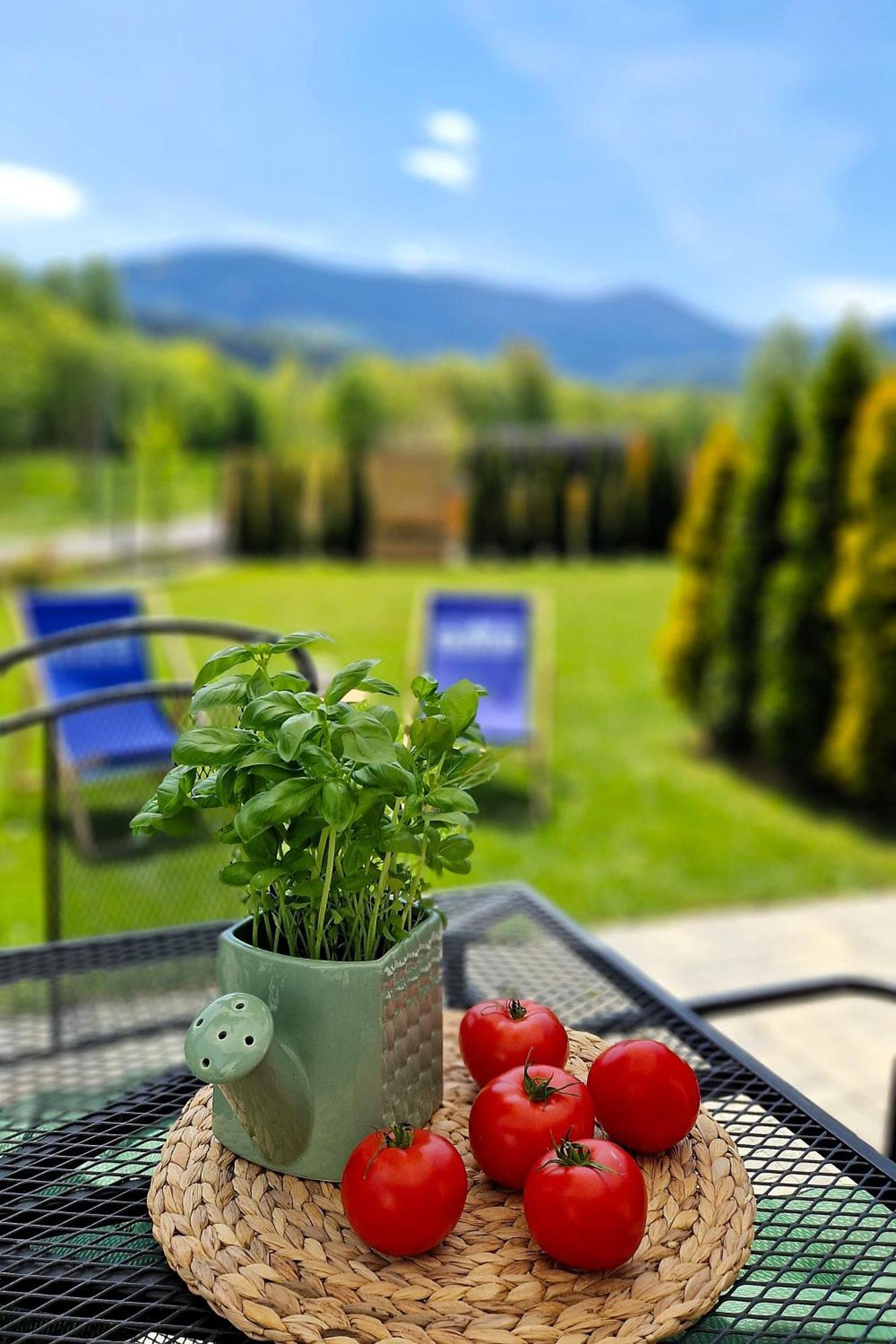 Widokowo - Domki Z Widokiem Na Sniezke Z Jacuzzi I Sauna Karpacz Extérieur photo